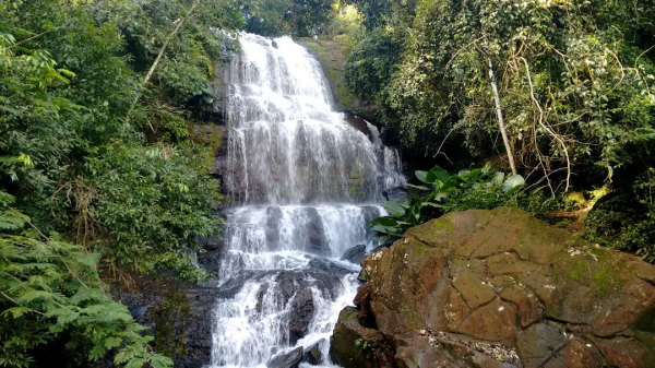 Imagem Jovem morre após selfie em cachoeira de 10 metros de altura no interior do Paraná