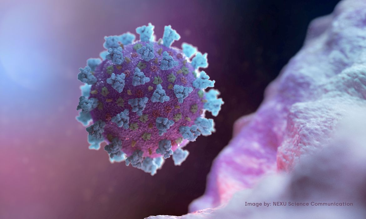 Imagem Estudo: anticorpos de quem teve covid-19 não protegem contra variante