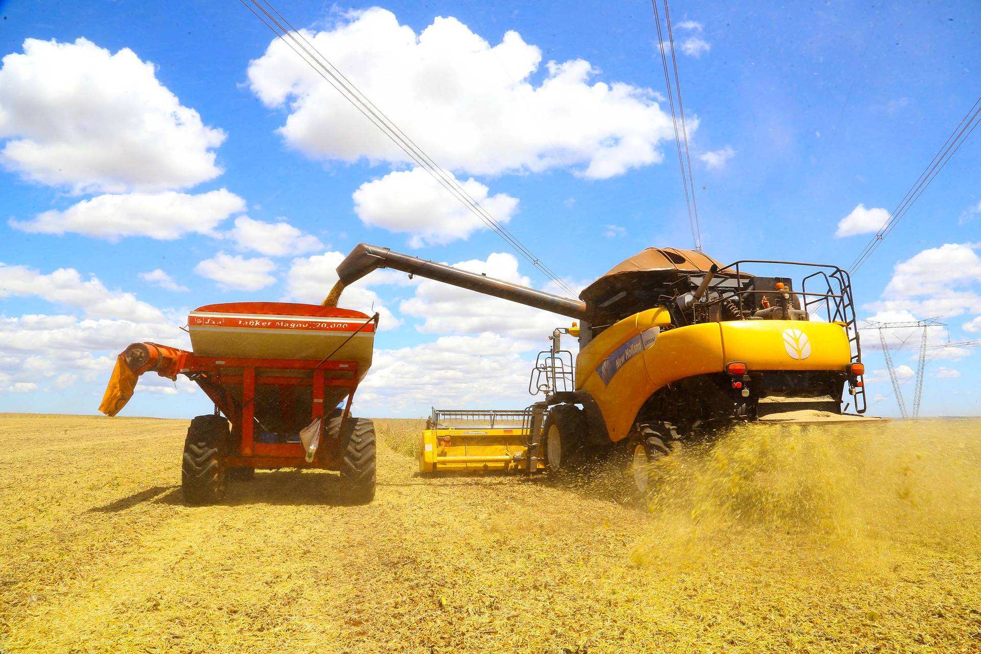 Imagem Paraná deve produzir 25,37 milhões de toneladas de grãos na safra de verão