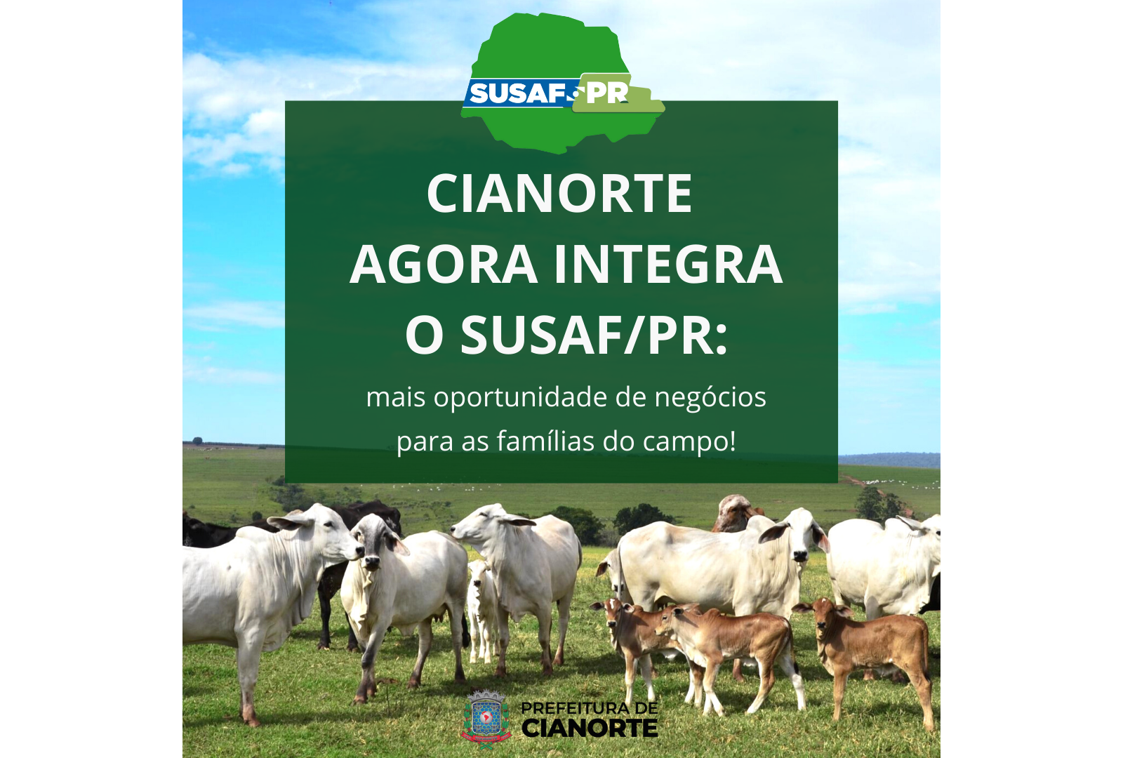 Imagem Cianorte é a primeira cidade da mesorregião a integrar o SUSAF/PR