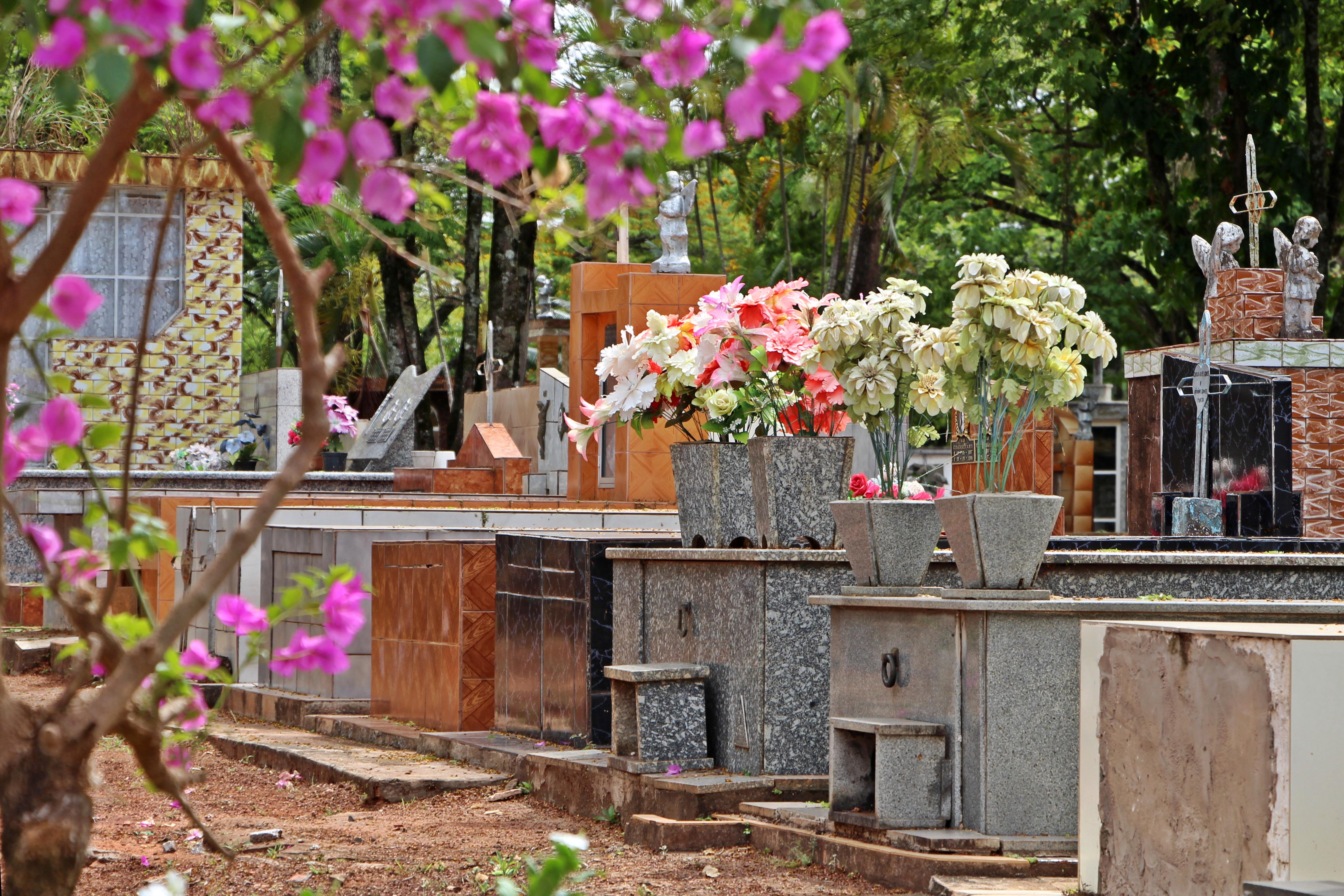 Imagem Prazo para reforma de túmulos termina nesta terça-feira