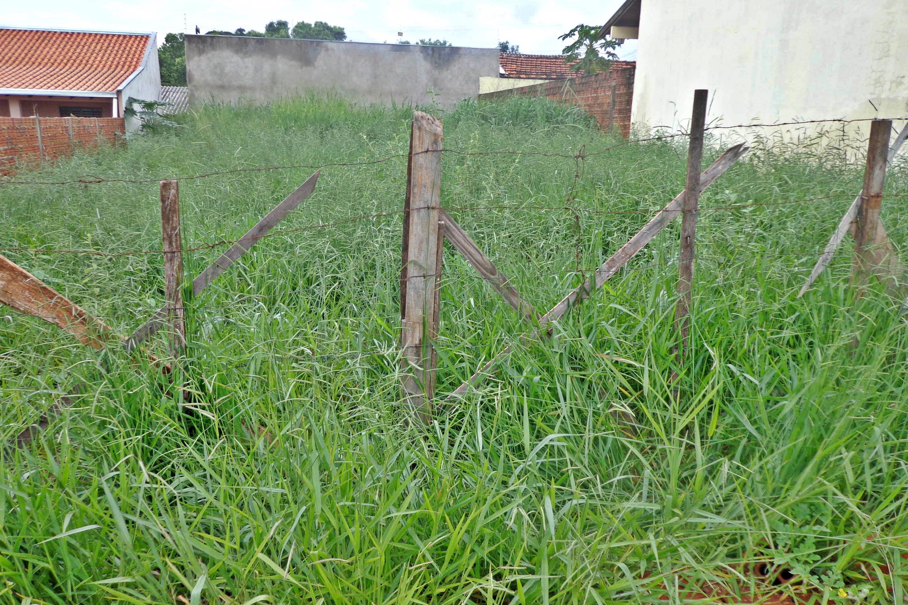 Imagem Limpeza e manutenção de terreno são responsabilidades do proprietário