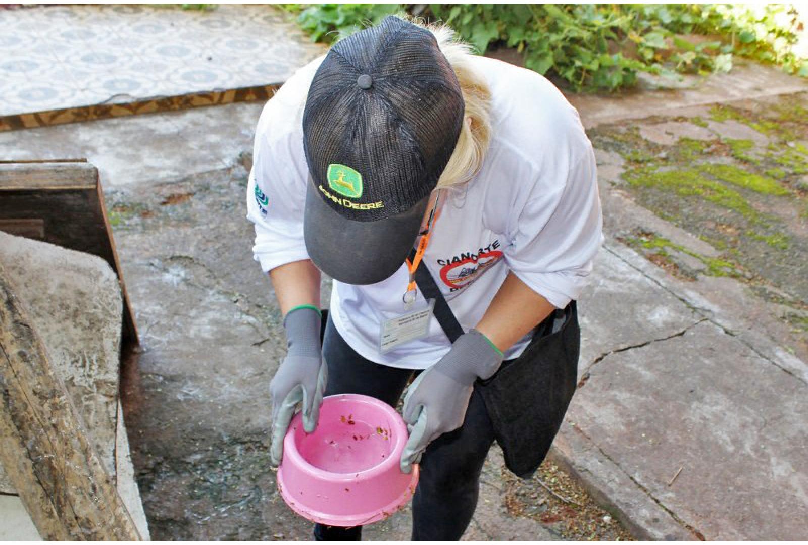 Imagem ATUAÇÃO DOS AGENTES DO PROGRAMA DE COMBATE A DENGUE CONTRIBUI NA ELIMINAÇÃO DE FOCOS