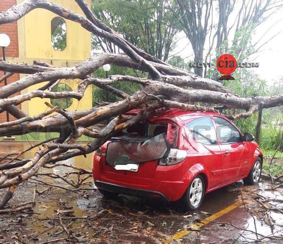 Imagem Tempestade causa prejuízos e interdita rodovias em Cianorte