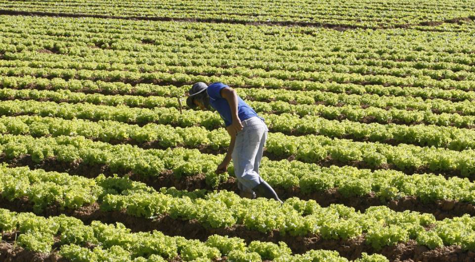 Imagem Apoio do Governo do Estado às pequenas cooperativas será fortalecido