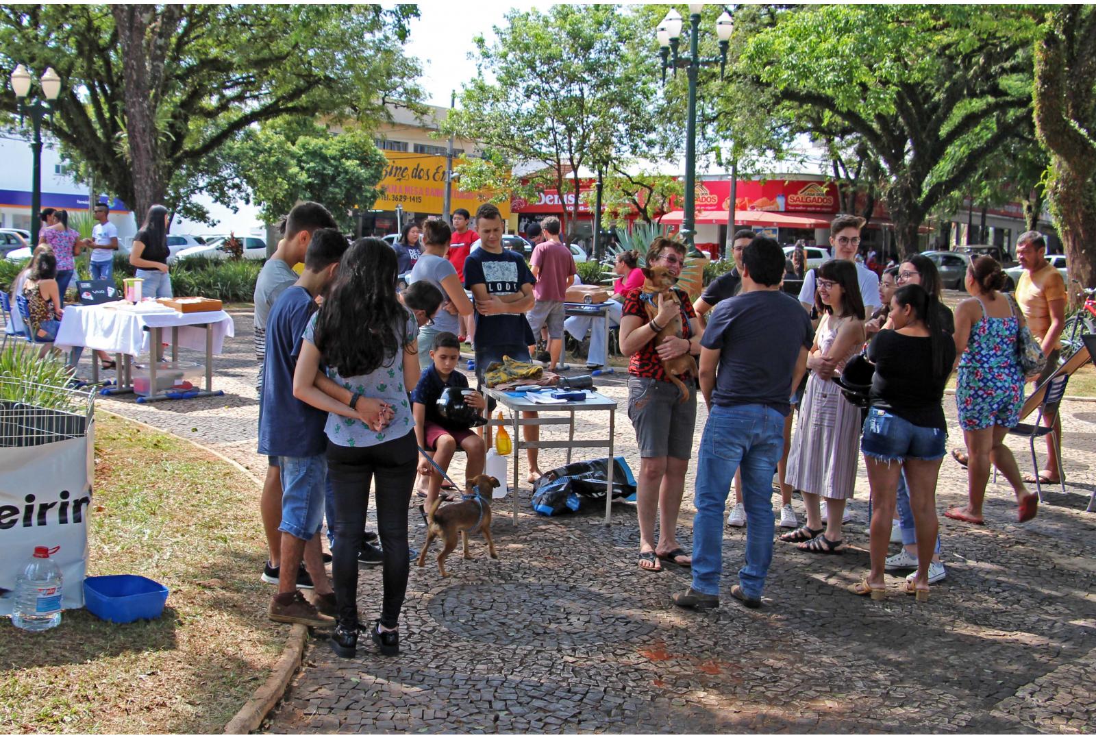 Imagem FEIRA DE ADOÇÃO ENCONTRA LARES PARA 10 CÃES