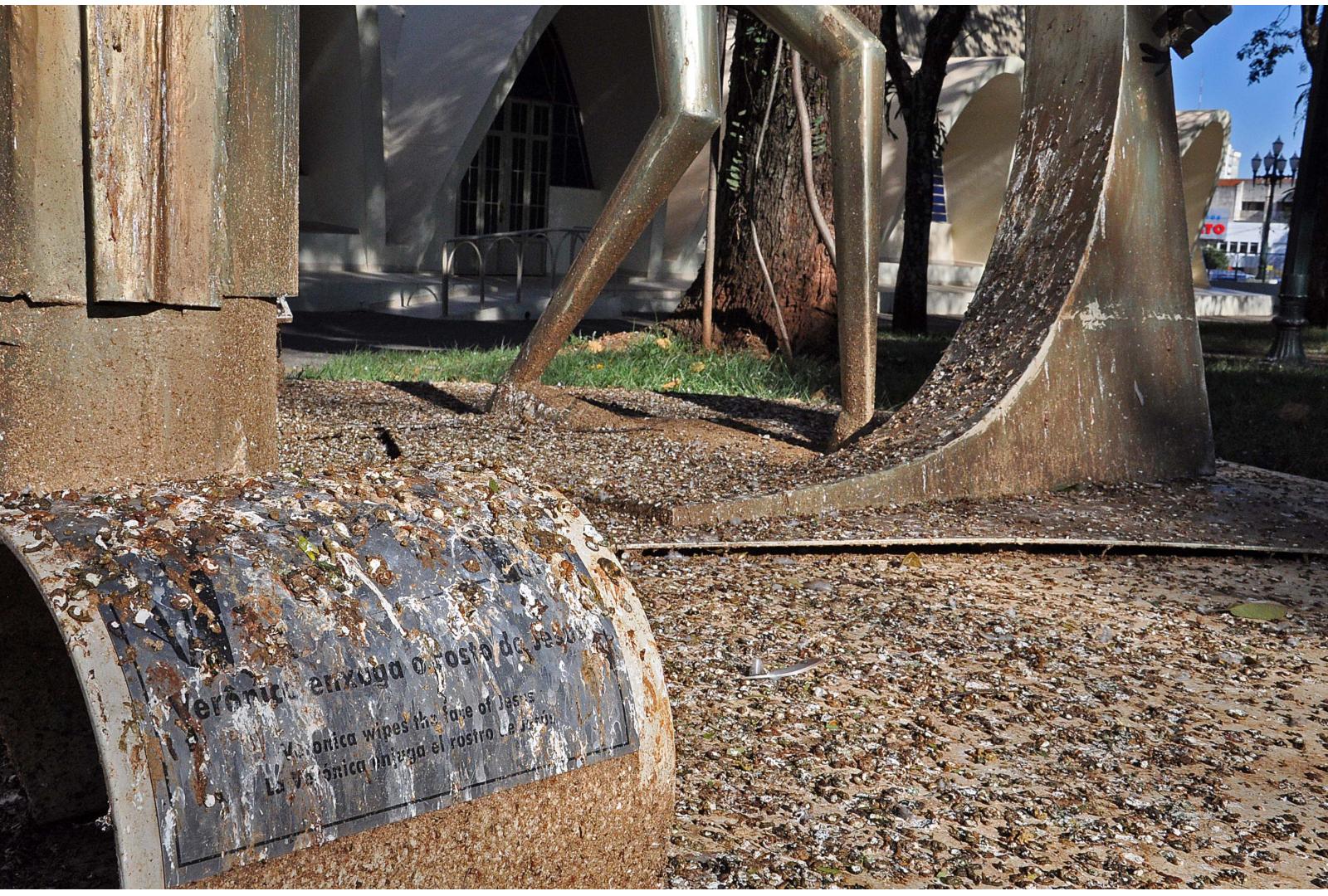 Imagem AUDIÊNCIA PÚBLICA BUSCA SOLUÇÃO PARA POMBOS NA PRAÇA JOÃO XXIII