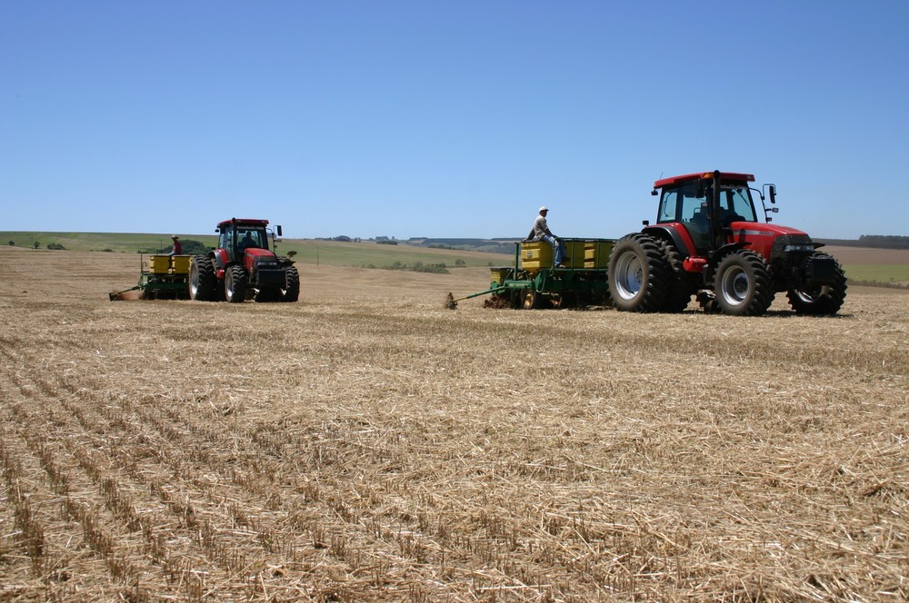 Imagem Governo diz que safra de grãos deve chegar a 23,4 milhões de toneladas no Paraná