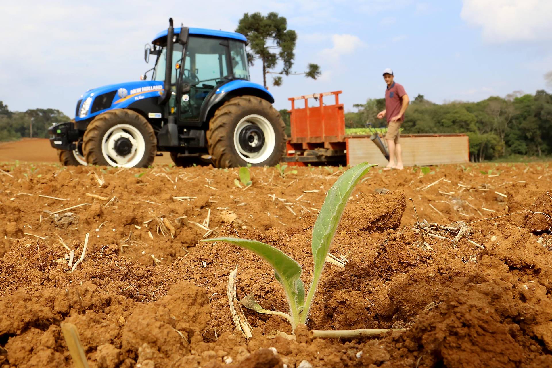 Imagem Programa garantiu economia de R$ 17 milhões a agricultores
