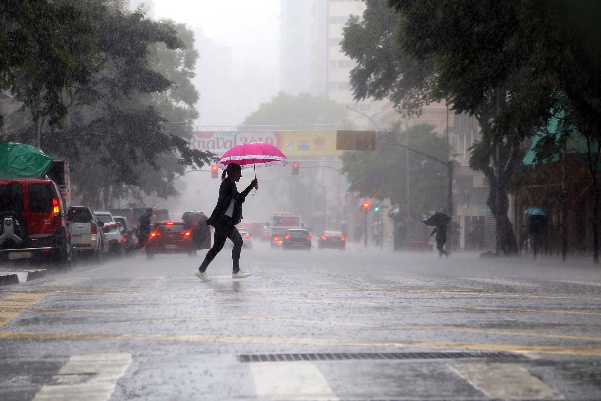 Imagem Risco de leptospirose cresce nos períodos de chuvas intensas