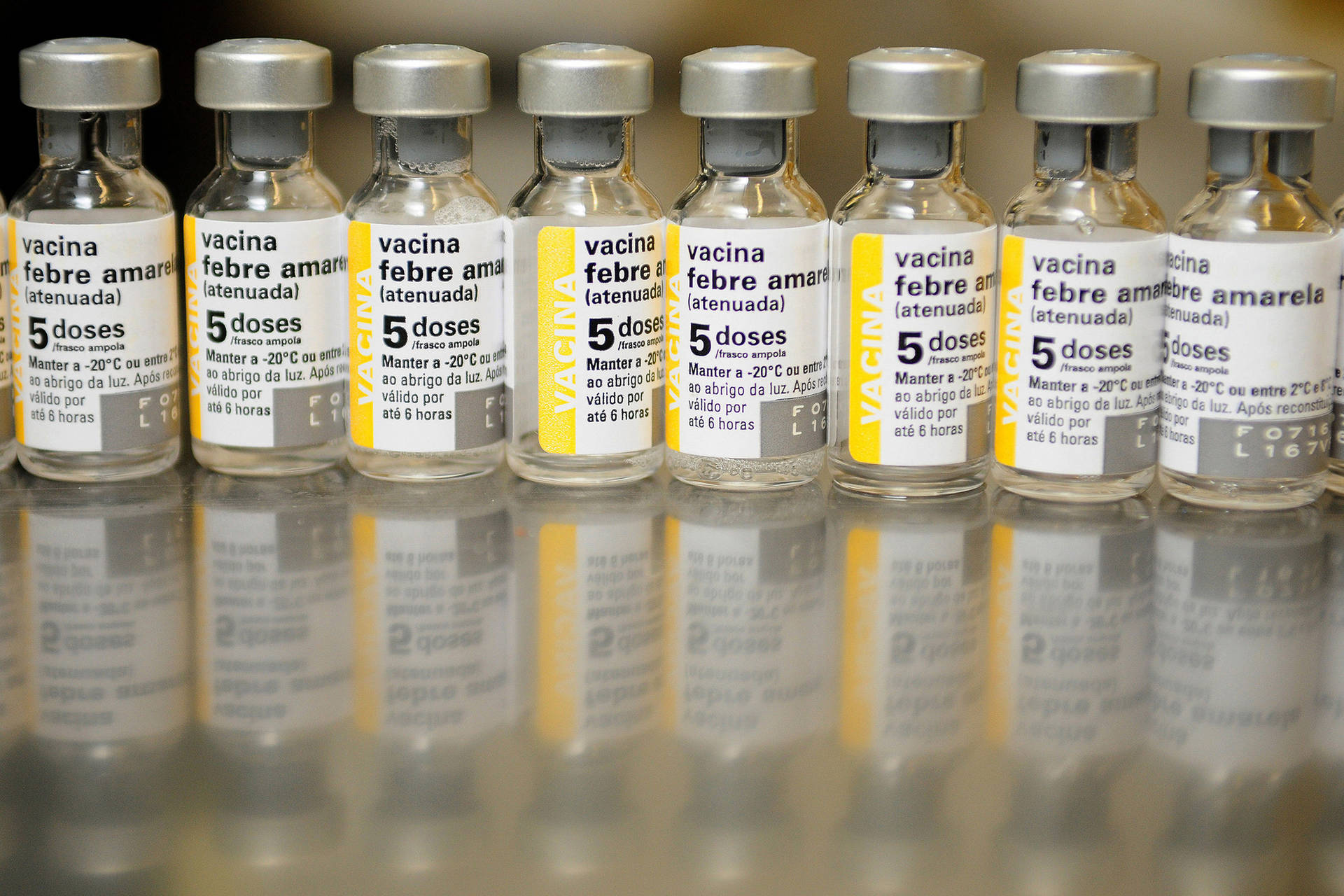 Imagem Saúde reafirma importância da vacina contra febre amarela