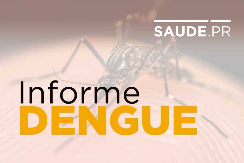 Imagem Casos de dengue sobem para 128,4 mil no Paraná