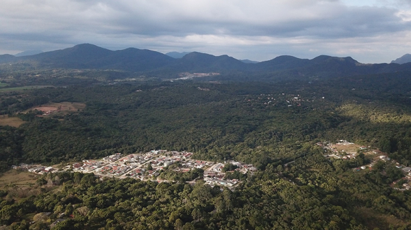 Imagem Cerca de 60% do território do Paraná é coberto pelo verde