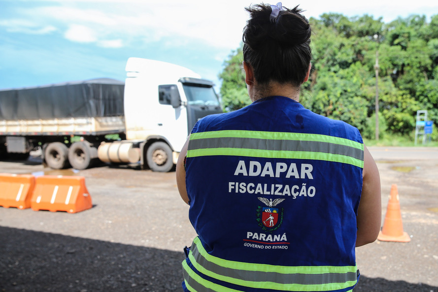 Imagem Funcionária de abatedouro é segundo caso de H1N2 no Paraná; Adapar orienta produtores