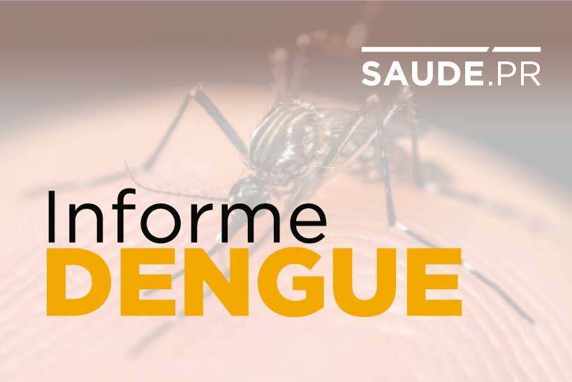 Imagem Dengue apresenta sinais de redução no Paraná, informa a Saúde