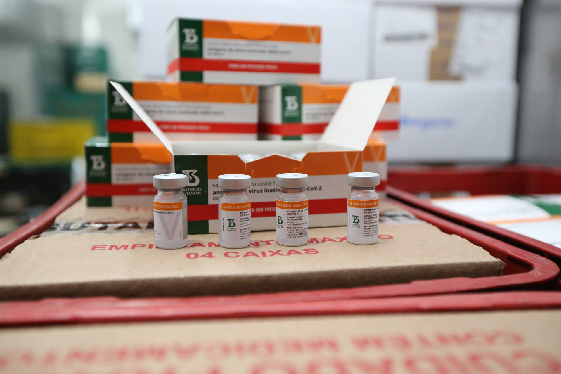 Imagem Paraná recebe novo lote com 258,4 mil doses de vacinas contra Covid-19