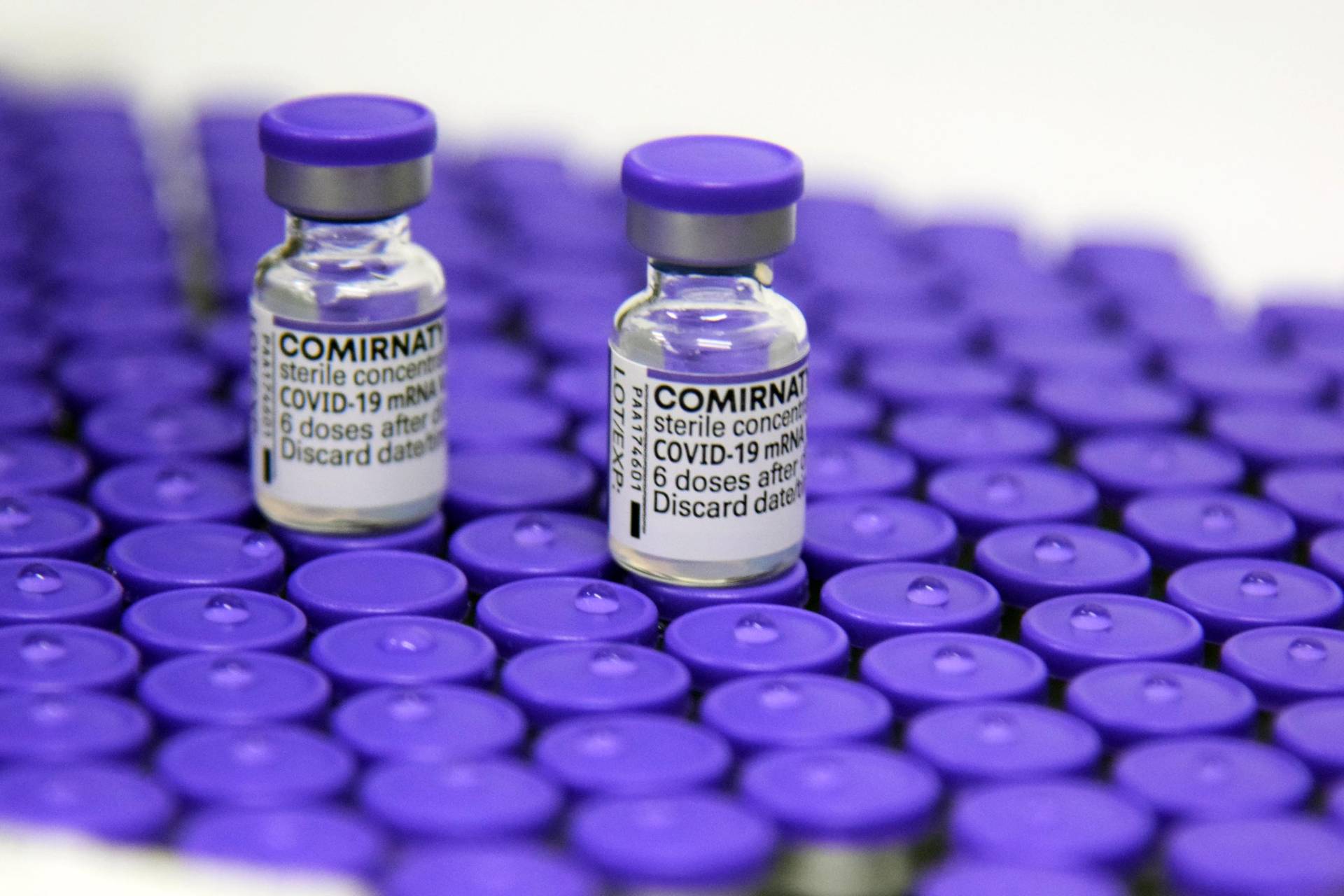 Imagem Paraná recebe mais 420.030 vacinas da Pfizer contra a Covid-19