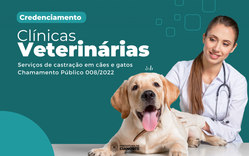 Imagem Prefeitura credencia clínicas veterinárias para a castração de cães e gatos