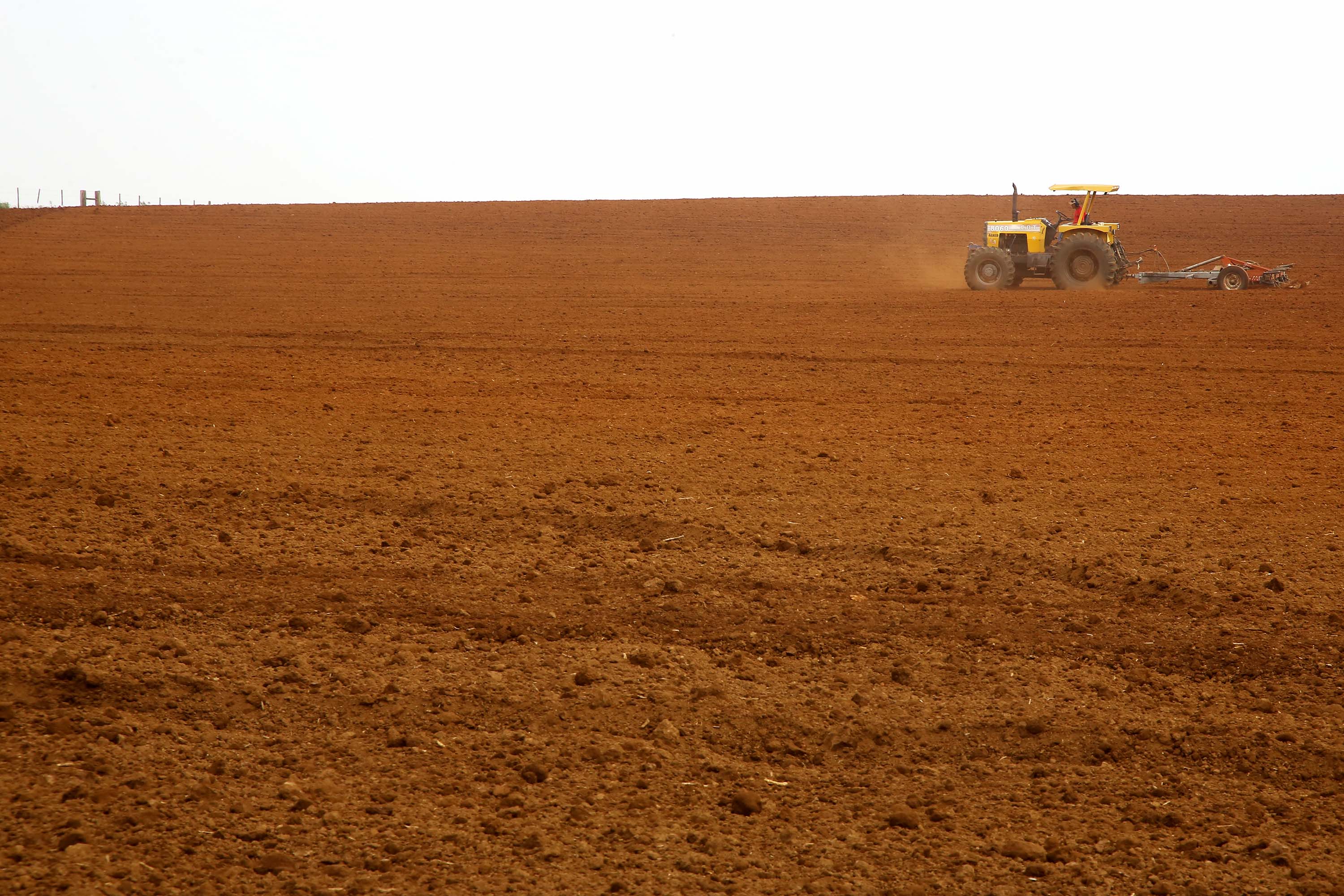 Imagem Paraná tem a melhor classificação do Brasil em potencialidade agrícola