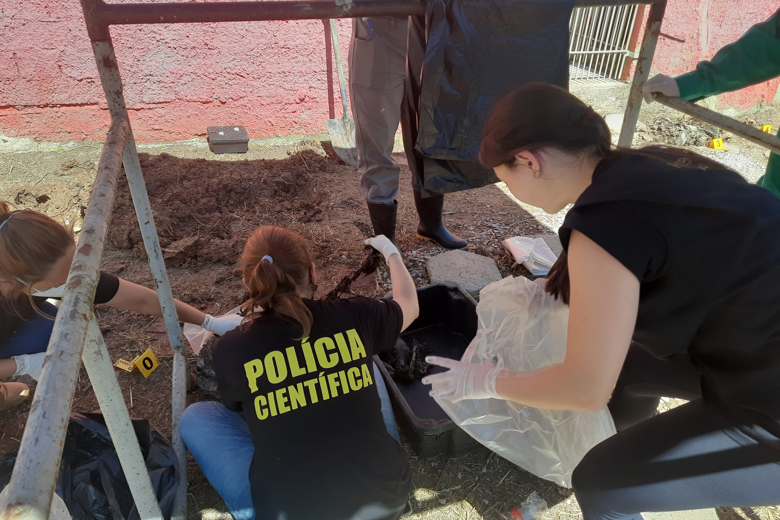 Imagem Polícia Científica encontra ossadas enterradas na casa dos 300 cães resgatados