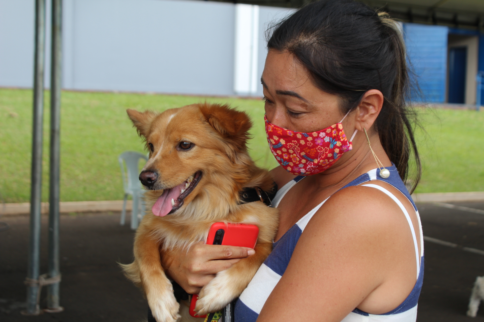 Imagem CastraPet abre inscrições para a esterilização gratuita de 500 cães e gatos