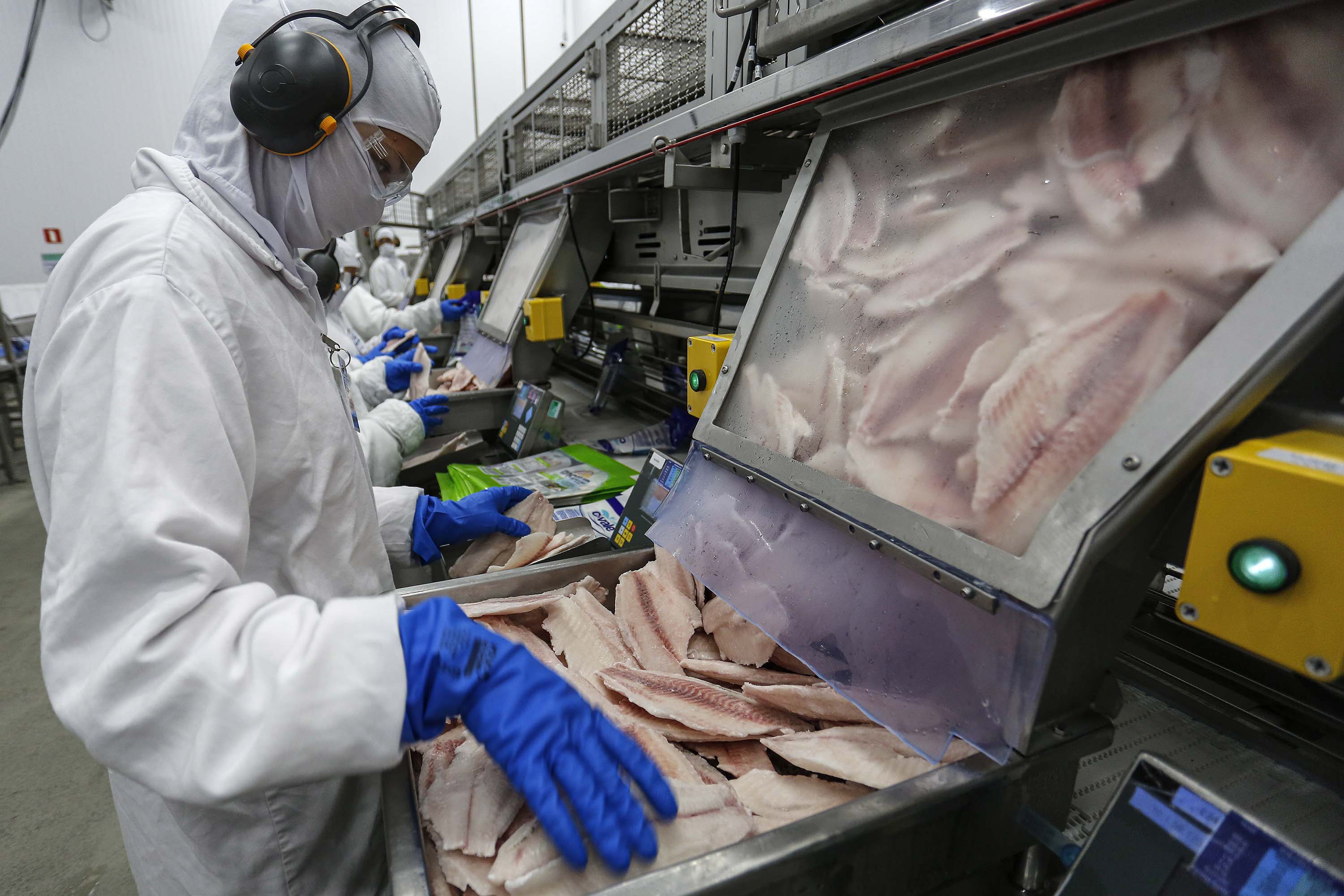 Imagem Paraná lidera produção e exportação nacional de carne de peixe