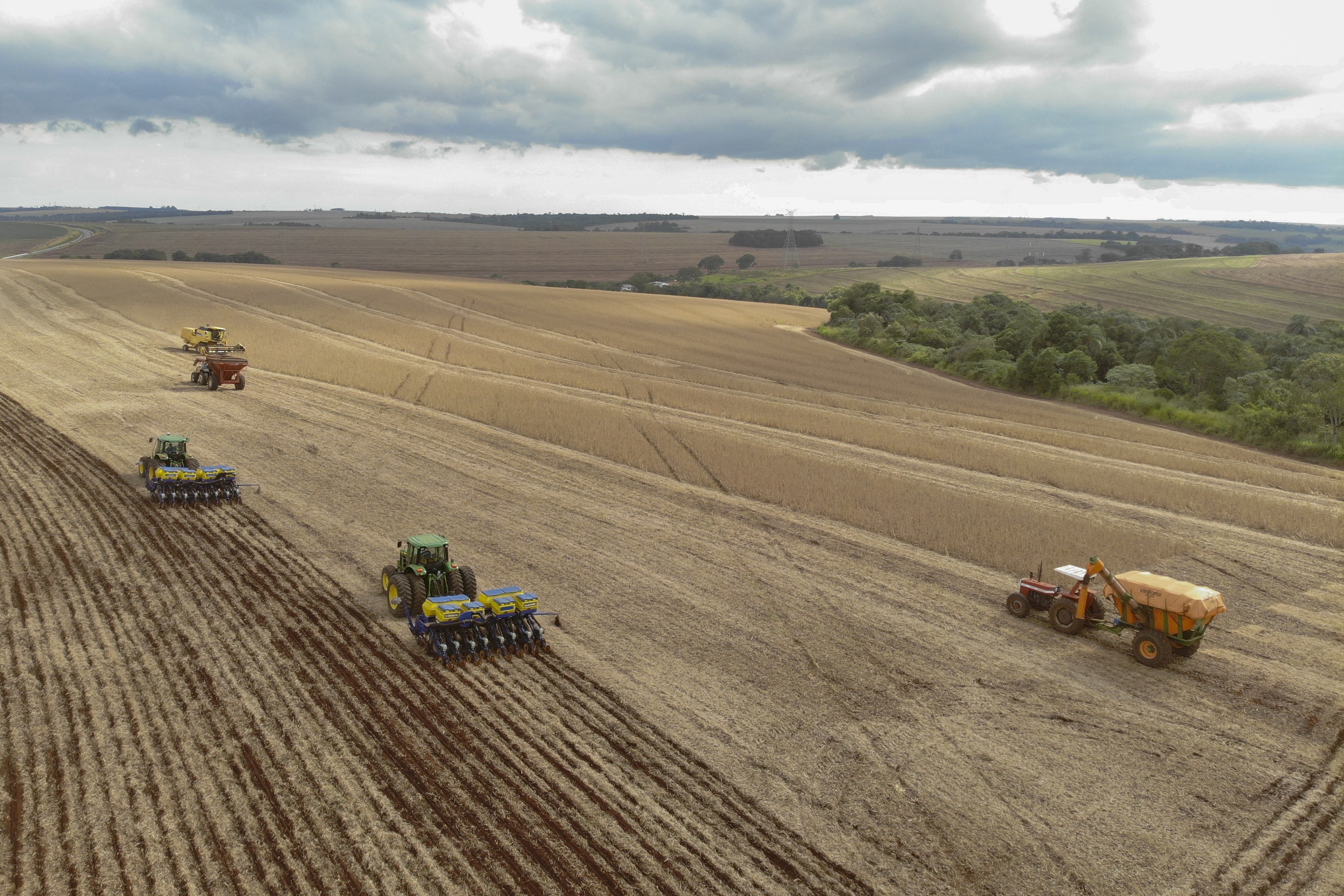 Imagem Paranaenses já colheram metade da área de soja e milho, principais produtos da safra de verão