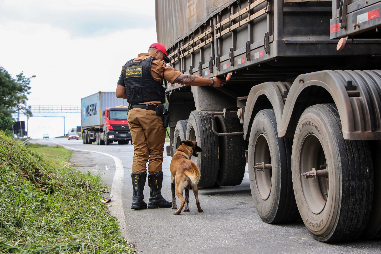 Imagem Polícia Rodoviária inicia operação para intensificar segurança nas estradas estaduais