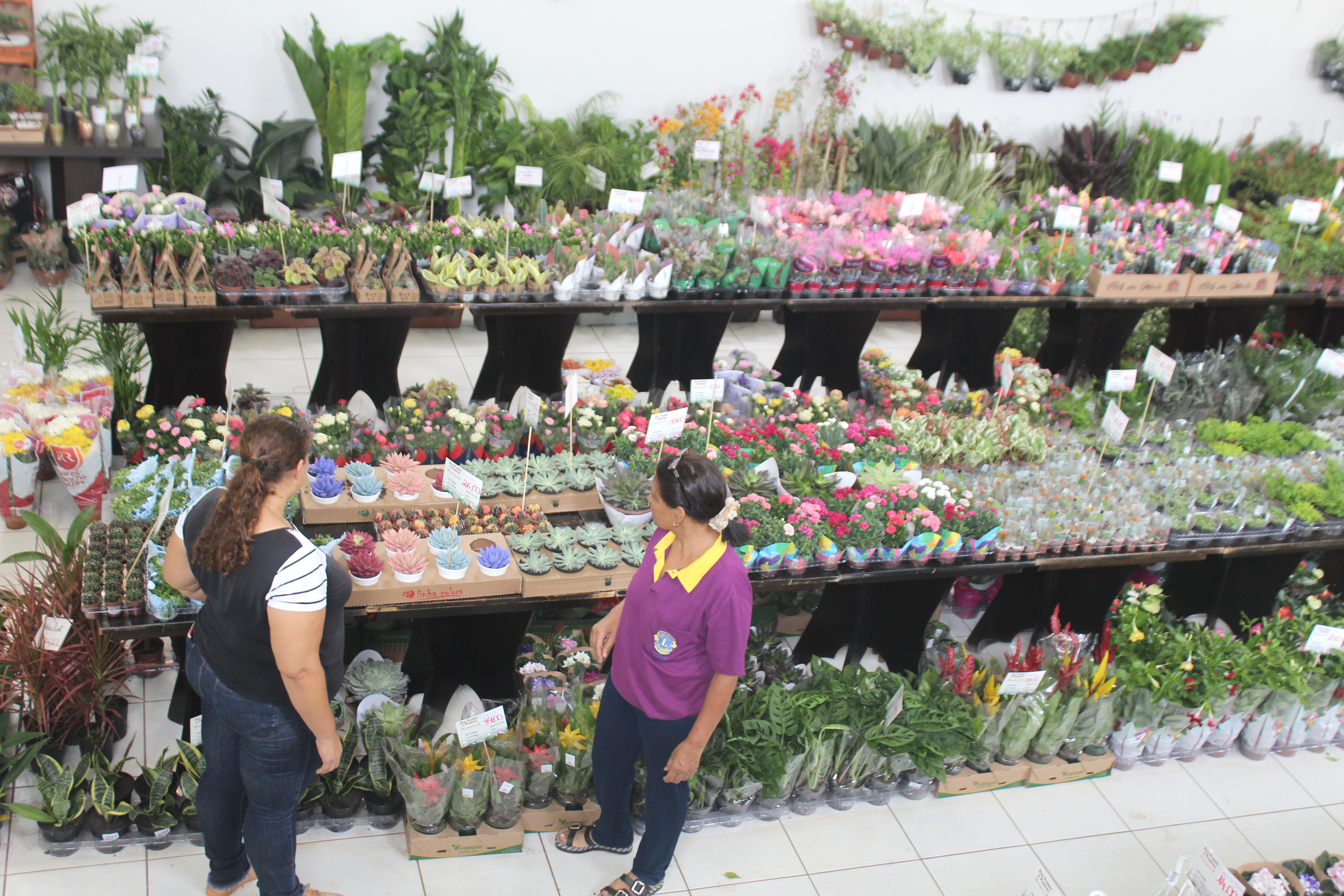 Imagem Renda da 25ª Expoflor de Cianorte ajudará alunos com problemas de vista