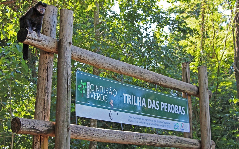 Imagem Prefeitura lança programação do 23º aniversário do Parque Cinturão Verde