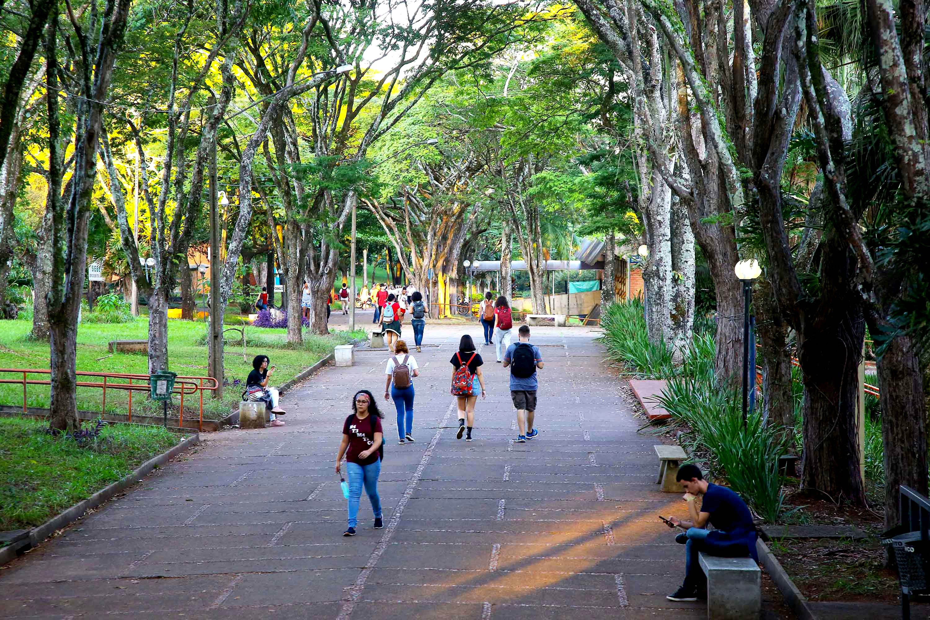 Imagem Ensino superior do Paraná está entre os mais bem avaliados do Brasil