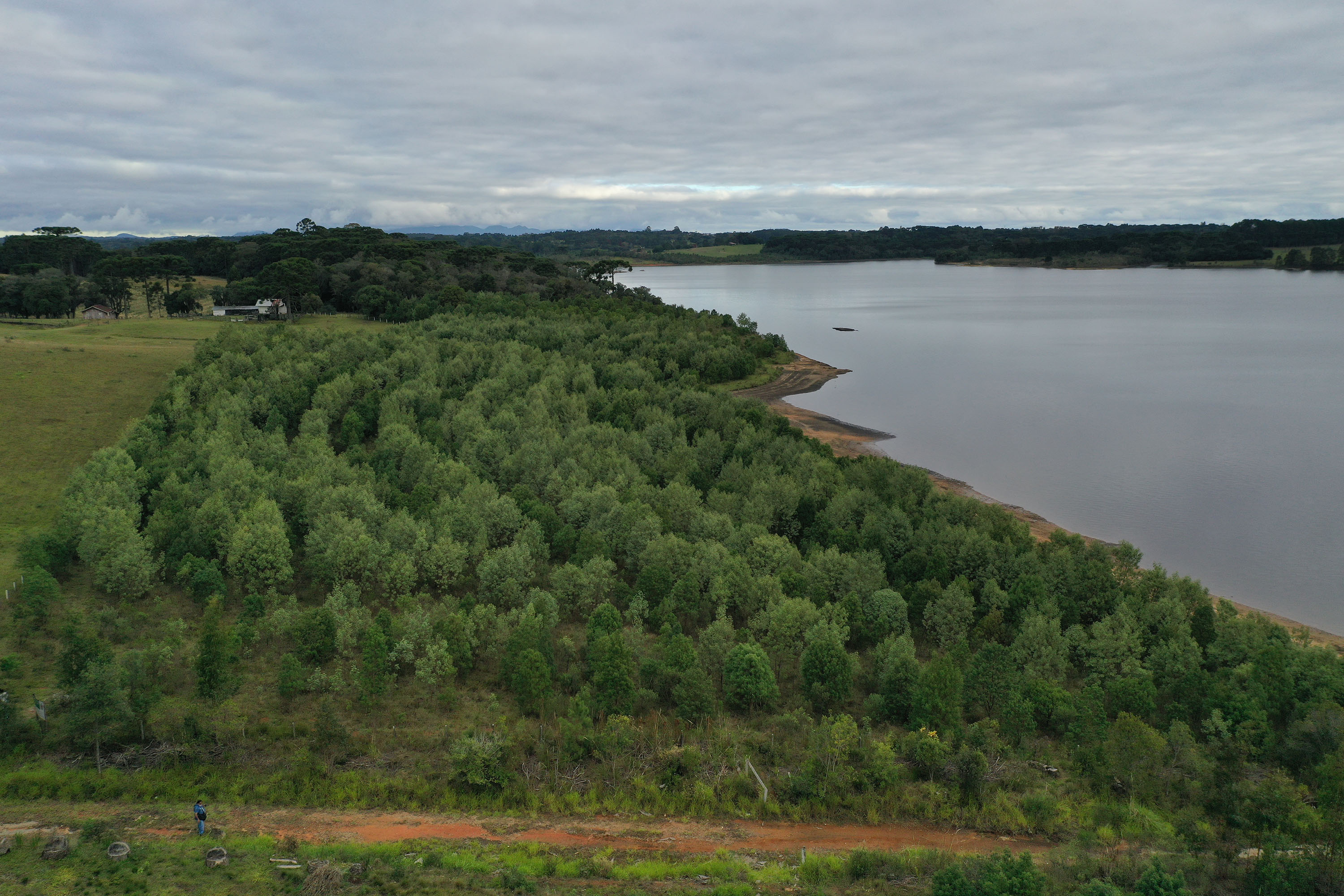 Imagem Patrimônio natural: Paraná tem 26,2 mil km² de Unidades de Conservação