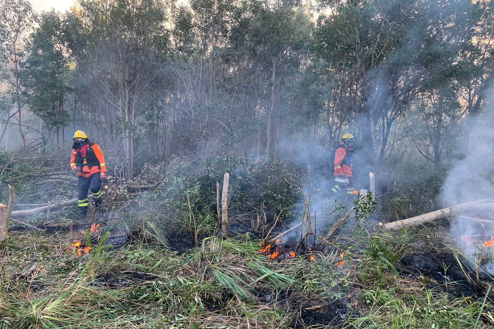 Imagem Corpo de Bombeiros lança operação contra incêndios florestais no Paraná