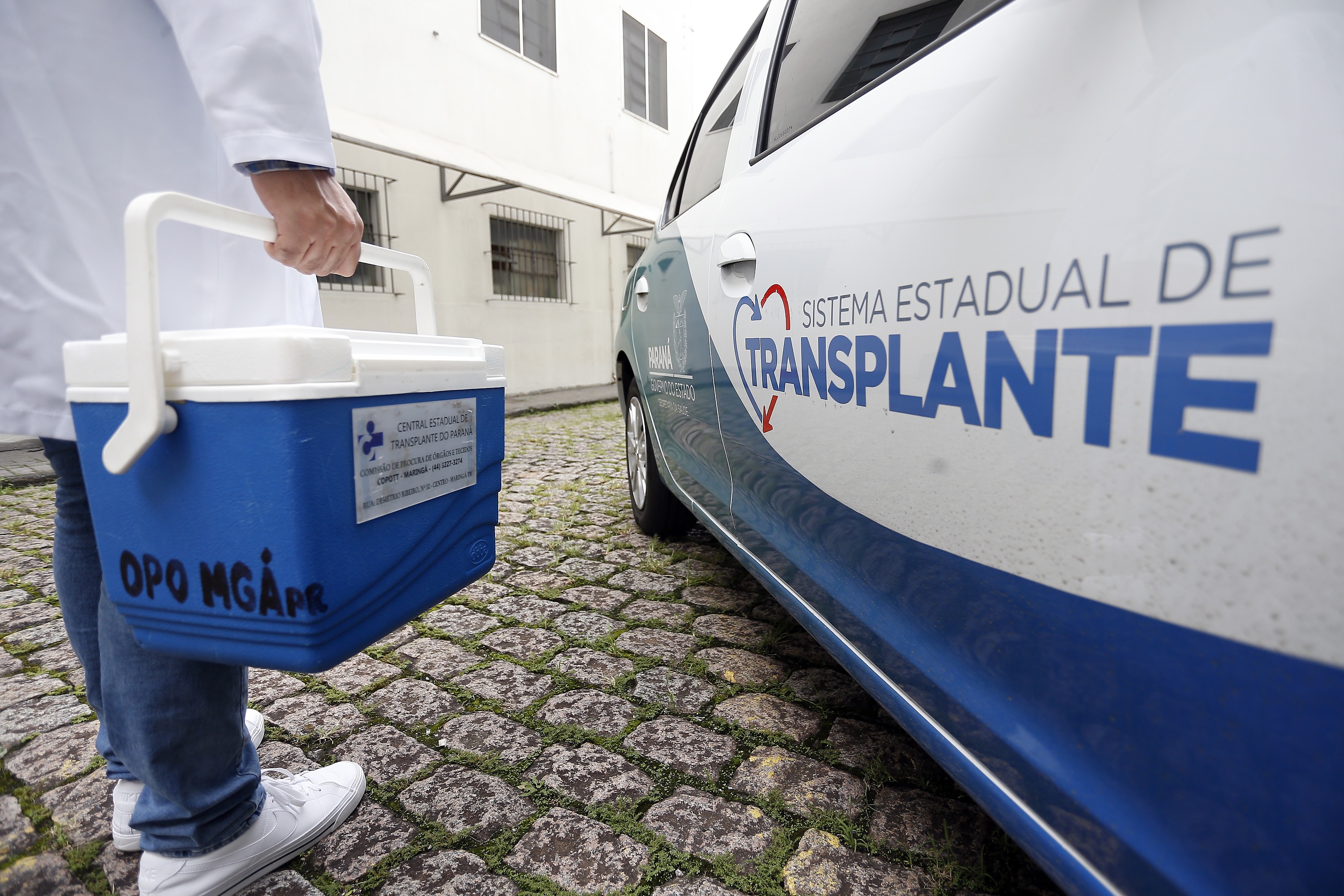 Imagem Líder nacional em doação de órgãos, Paraná lança na quarta campanha de conscientização