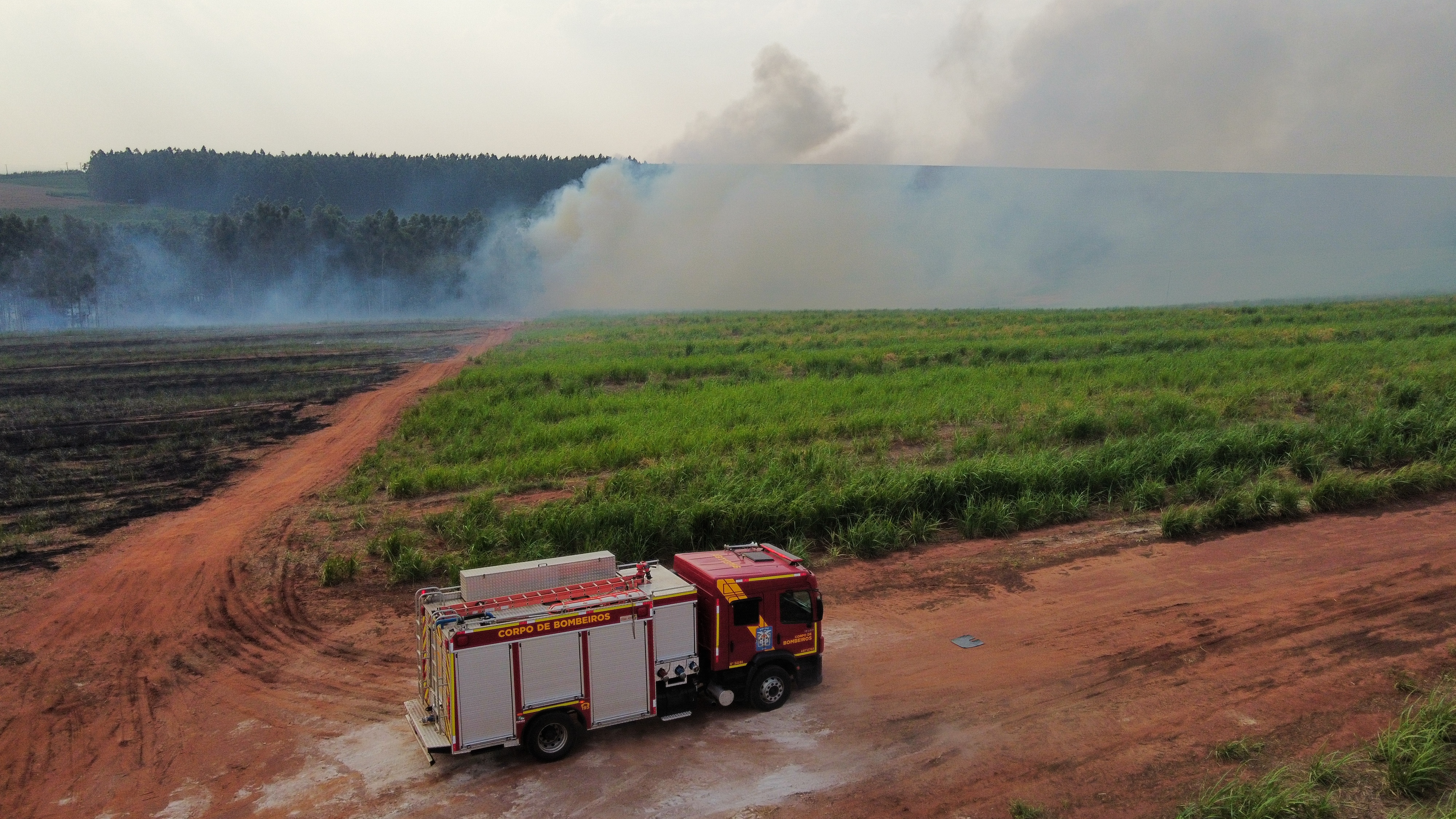 Imagem Registros de incêndios florestais aumentam na região