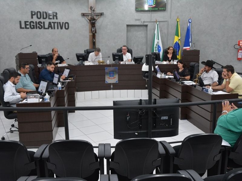 Imagem “Passe Livre” da linha São Lourenço-Cianorte aprovado pela Câmara Municipal