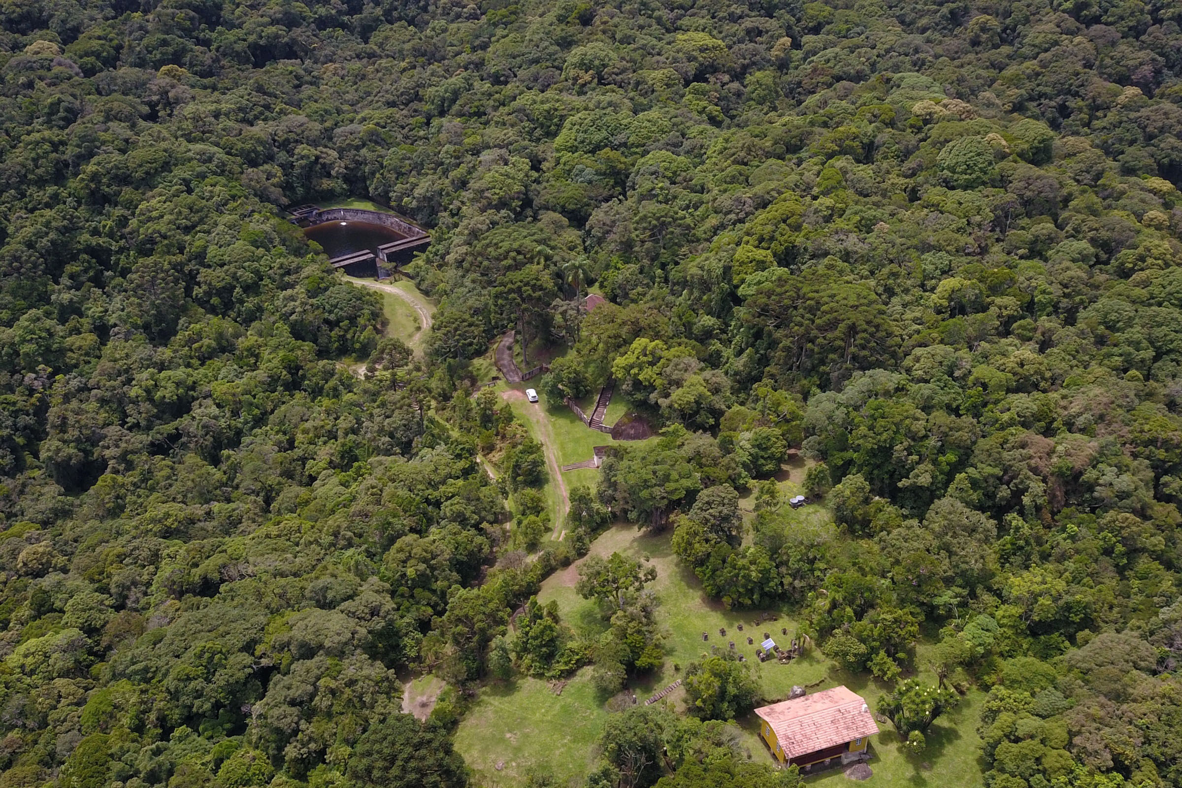 Imagem Desmatamento ilegal da Mata Atlântica reduz 64% no Paraná em 2023