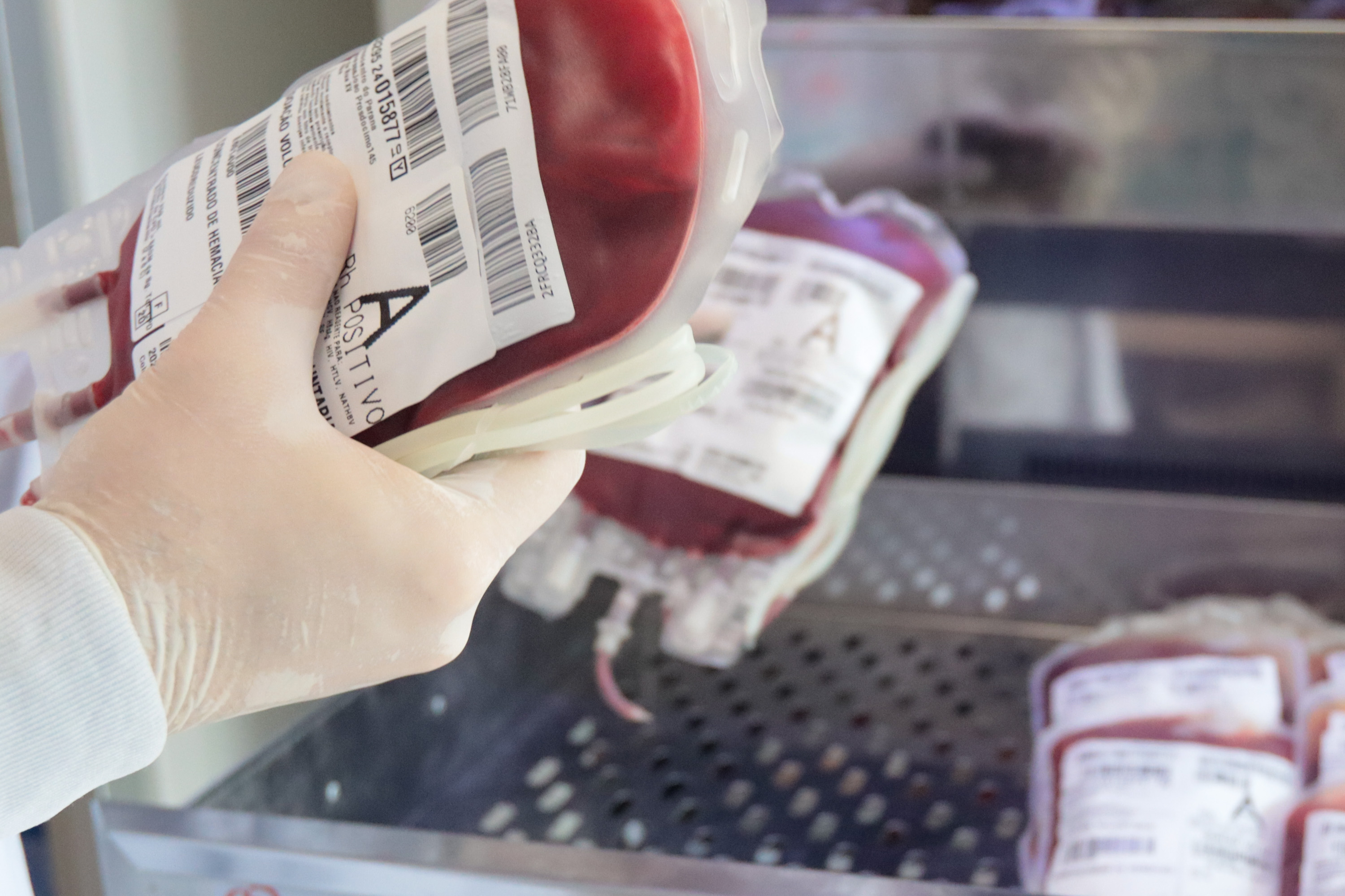 Imagem Paraná envia 300 bolsas de sangue para ajudar o sistema de saúde do Rio Grande do Sul