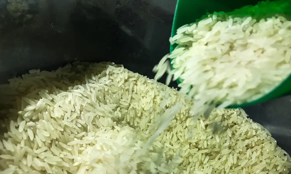 Imagem Brasil vai importar arroz para evitar especulação de preços