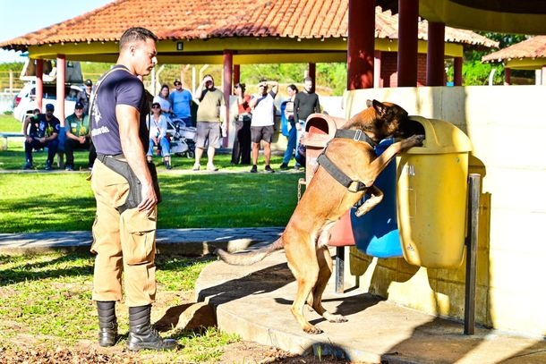 Imagem Policial e cachorro de Cianorte vencem campeonato brasileiro de detecção