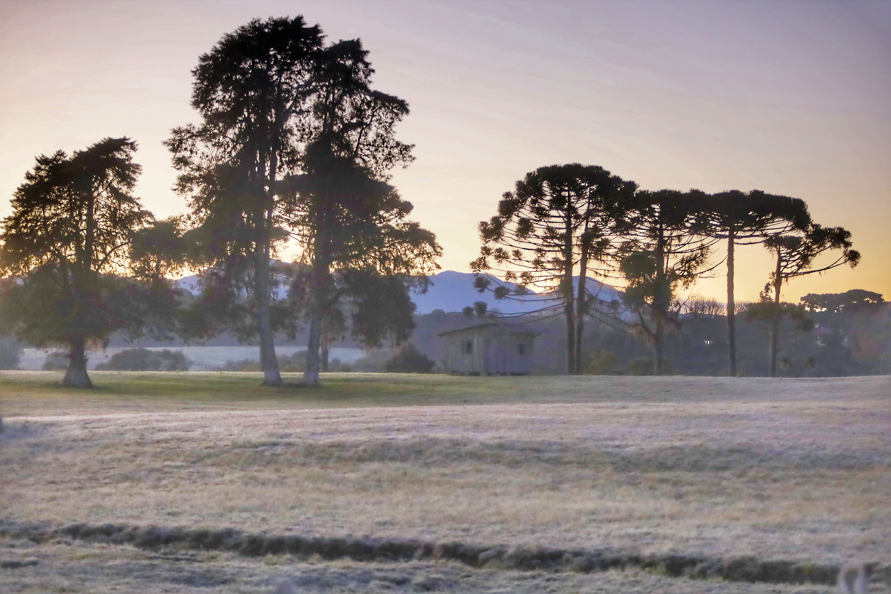 Imagem Após recorde de frio, temperatura sobe e Paraná volta a ter veranicos de inverno