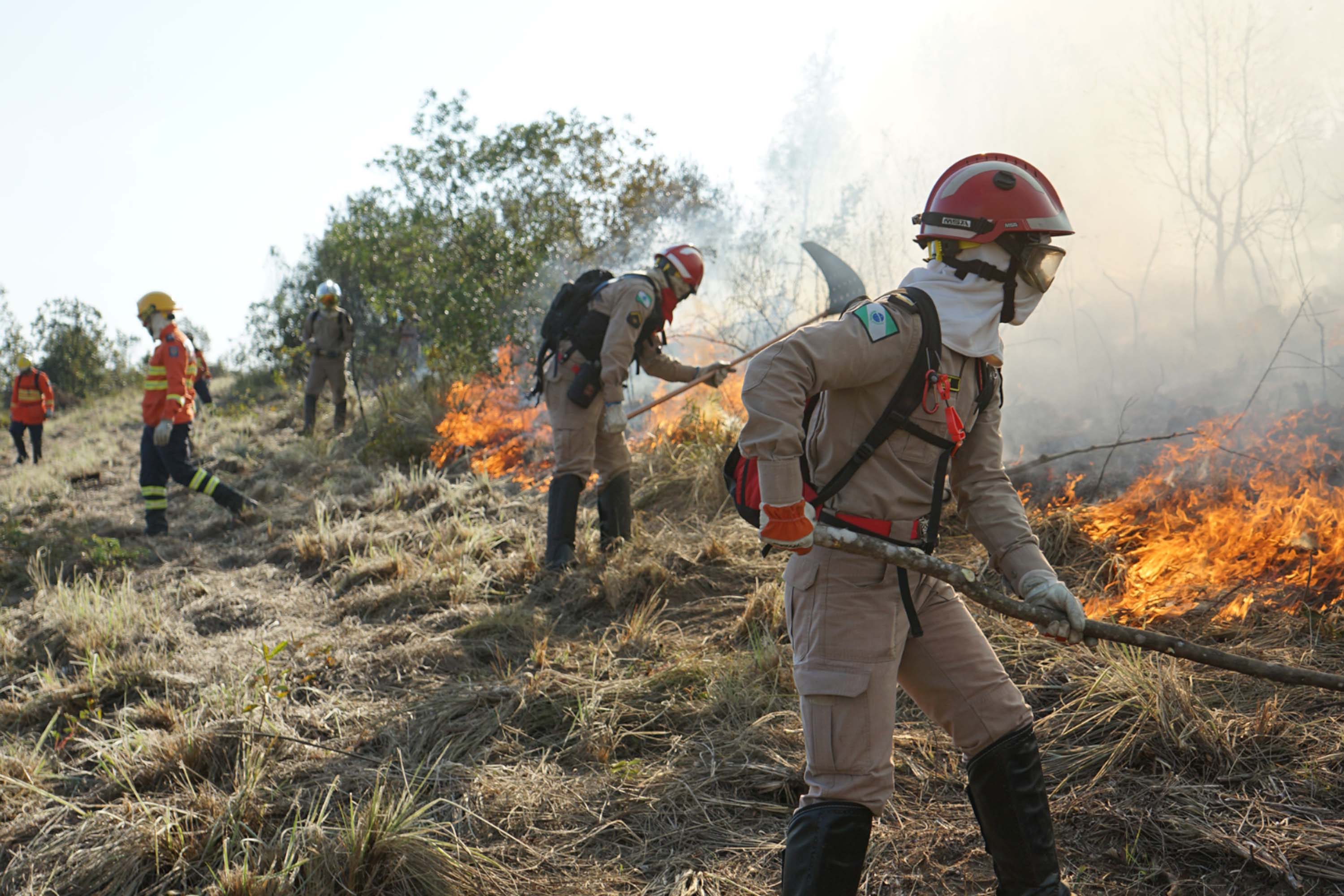 Imagem Bombeiros prestaram mais de 63 mil atendimentos no 1º semestre; incêndios cresceram