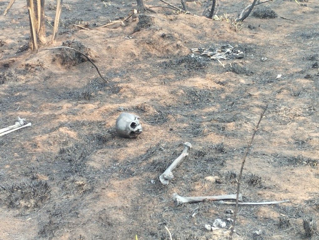 Imagem Policiais militares encontram ossada humana em Cianorte