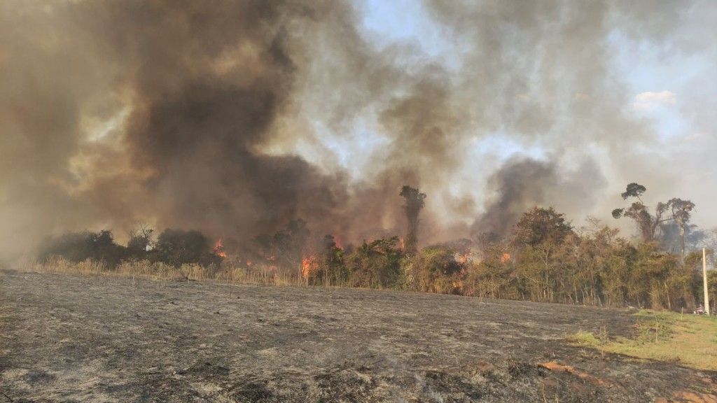 Imagem Corpo de Bombeiros registrou 56 incêndios no mês de agosto em Cianorte