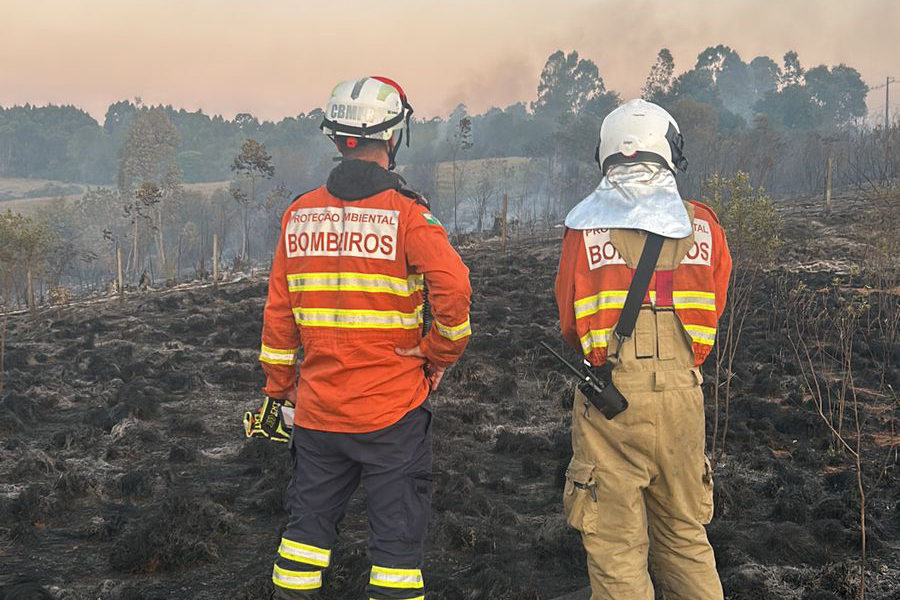 Imagem Incêndios florestais no Paraná caem 57% entre a primeira quinzena de setembro e outubroDispersa e sem grandes volumes, a chuva ajudou a reduzir o registro de incêndios florestais no Paraná em outubro. De acordo com o Corpo de Bombeiros Militar do Paraná (CBMPR), houve 481 ocorrências na primeira quinzena deste mês, número 57% menor do que no mesmo período de setembro (1.121) e 67% a menos do que na primeira quinzena de agosto (1.461).   Nesta quinta-feira (17), numa reunião virtual entre o CBMPR, Defesa Civil Estadual, Sistema de Tecnologia e Monitoramento Ambiental (Simepar) e Instituo Água e Terra (IAT), foram analisados os dados dos últimos 20 dias nas condições meteorológicas além dos comparativos mensais de incêndios florestais. Este ano o Estado contabilizou 12.808 ocorrências, o dobro de casos em 2023 (6.495) e quase o triplo de 2022 (4.659).  Segundo a chefe da assessoria de comunicação do CBMPR, capitã Luisiana Cavalca outubro historicamente é o mês com maior umidade no estado. “Tínhamos essa expectativa de que o clima seguiria a tendência evidenciada nos levantamentos dos últimos cinco anos. Felizmente tivemos uma redução muito expressiva”, completa  De acordo com o Simepar, a ocorrência de chuva deve ser mais frequente ao longo da primavera e início do verão, podendo haver períodos mais prolongados associados a novas ondas de calor. “Esse comportamento de chuvas irregulares deve se manter até o primeiro trimestre de 2025. O verão deve registrar chuvas muito próximas da média histórica. A gente não espera que a seca se acentue no Estado”, destaca o meteorologista do Simepar, Reinaldo Kneib.  Refúgio da Vida Silvestre dos Guarás: Paraná vai ganhar a 74ª Unidade de Conservação  ESTIAGEM – O agravamento das condições durante o ano levaram o governador Ratinho Junior a decretar situação de emergência no Estado no início de setembro. Para enfrentar essa situação, o Governo do Paraná anunciou investimento de R$ 24 milhões em uma força-tarefa de ações de combate a incêndios florestais para aquisição de equipamentos, contratação de aeronaves que dispersam água e treinamento de 600 brigadistas em 100 municípios.  Entre julho e setembro a Defesa Civil emitiu 26 alertas de risco máximo de incêndio em todo o território. Para o coordenador estadual da Defesa Civil, coronel Fernando Schünig, a exemplo dos registros em boa parte do país, no Paraná as condições meteorológicas também foram atípicas. “Tivemos temperaturas elevadas em momentos não esperados que ficaram muito acima da normalidade. O clima está dando sinais de que as mudanças ocorreram e nós da Defesa Civil acompanhamos todo esse desdobramento. Seguimos em estiagem, as chuvas que ocorreram ainda não foram suficientes para resolver o problema”, declara Shünig.  Segundo o Simepar há quatro meses a estiagem moderada atinge o Paraná. A atuação de massas de ar seco e quente afastou a chuva volumosa e mudou o clima. A atuação de algumas ondas de calor sobre o estado ocasionaram períodos quentes com temperaturas acima dos 5°C.  POUCA CHUVA E ALTAS TEMPERATURAS – De acordo Simepar, o parte do Paraná teve o inverno mais quente em quase três décadas. Kneib descreve que os meses do outono e inverno apresentaram níveis de chuva abaixo da média histórica. “Houve vários dias com as temperaturas bastante elevadas e isso contribuiu para o surgimento e a atuação da seca nas regiões Noroeste, Centro-Norte, Campos Gerais e Norte Pioneiro”, destaca  Em janeiro, a chuva abaixo da média já dava sinais de que este seria um ano com predomínio de tempo seco. Fevereiro, março e abril também foram de pouca umidade e temperaturas entre 1ºC e 2ºC acima da média, especialmente em Foz do Iguaçu e Cascavel, no Oeste.  Melhor educação do Brasil: formação e estrutura transformam o ensino no Paraná  Experiência do Banco de Alimentos Comida Boa é tema do podcast Notícia Boa Paraná  O refresco para o calorão chegou em maio, com exceção das regiões Norte e Campos Gerais, onde as temperaturas ficaram entre 3ºC e 4º C acima da média. Em junho, as massas de ar quente e seco levaram a Defesa Civil a emitir o primeiro alerta de alto risco de incêndio para todo o estado. Esse bloqueio segurou o avanço das massas de ar polar que só passaram pelo estado em julho acompanhadas de nuvens volumosas. A chuva voltou a ficar dentro do esperado para o período, mas não foi suficiente para conter a estiagem que seguiu dando as caras em agosto, com alguns dias de frio abaixo do registrado nos anos anteriores no extremo oeste e litoral do estado.  Setembro trouxe novo recorde de temperaturas, em alguns dias as máximas ficaram até 5ºC acima do previsto. Nos 30 dias do mês, 12 foram de risco muito alto de incêndio, de acordo com os alertas emitidos a cada 24 horas pelo Centro Estadual de Gerenciamento de Riscos e Desastres (Cegerd).