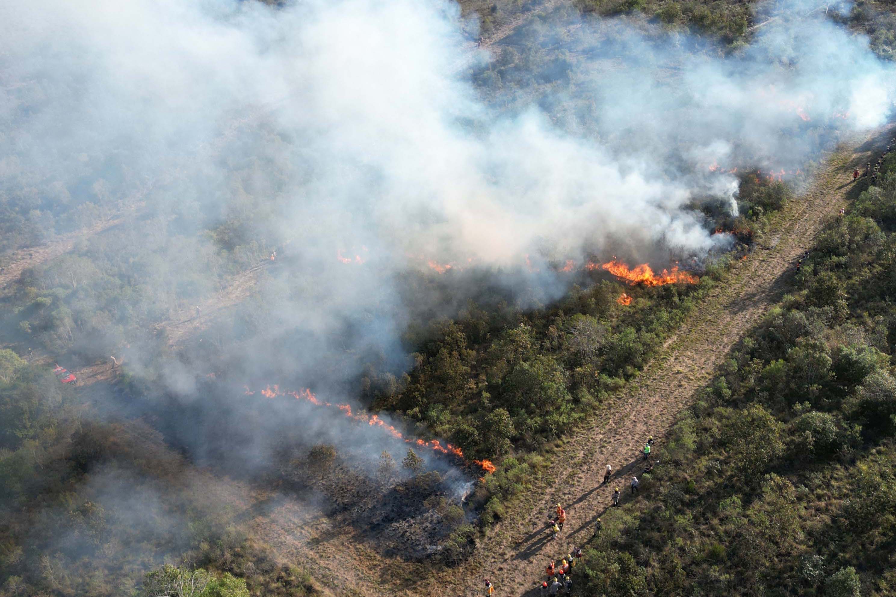 Imagem Com incêndios, bombeiros registraram aumento de 10% no total de ocorrências em 2024