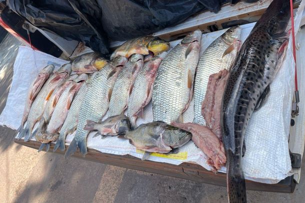 Imagem Dois homens são presos por pesca ilegal durante operação da Polícia Ambiental