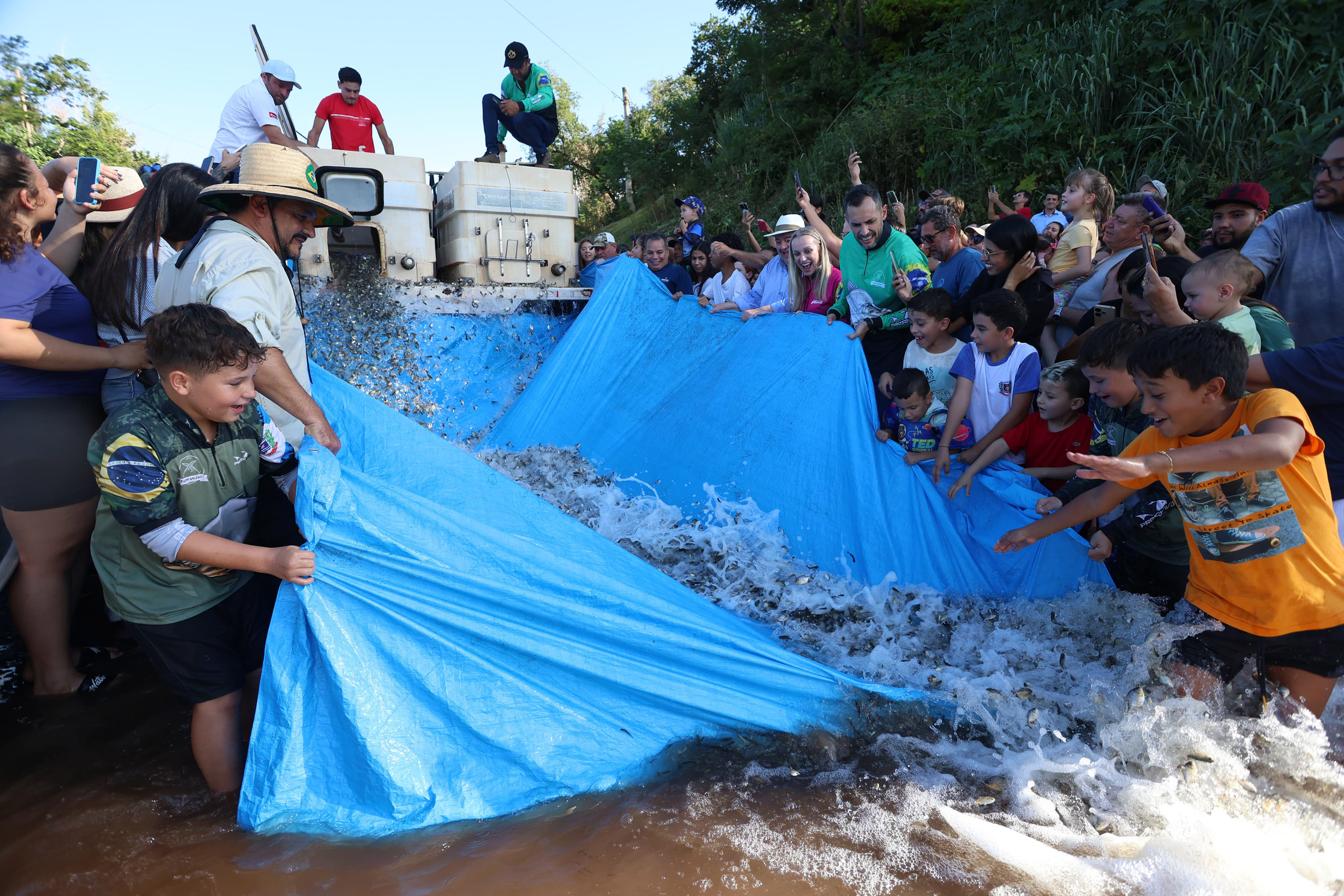Imagem Em Japurá, Estado promove repovoamento do Rio Ivaí com 150 mil peixes nativos