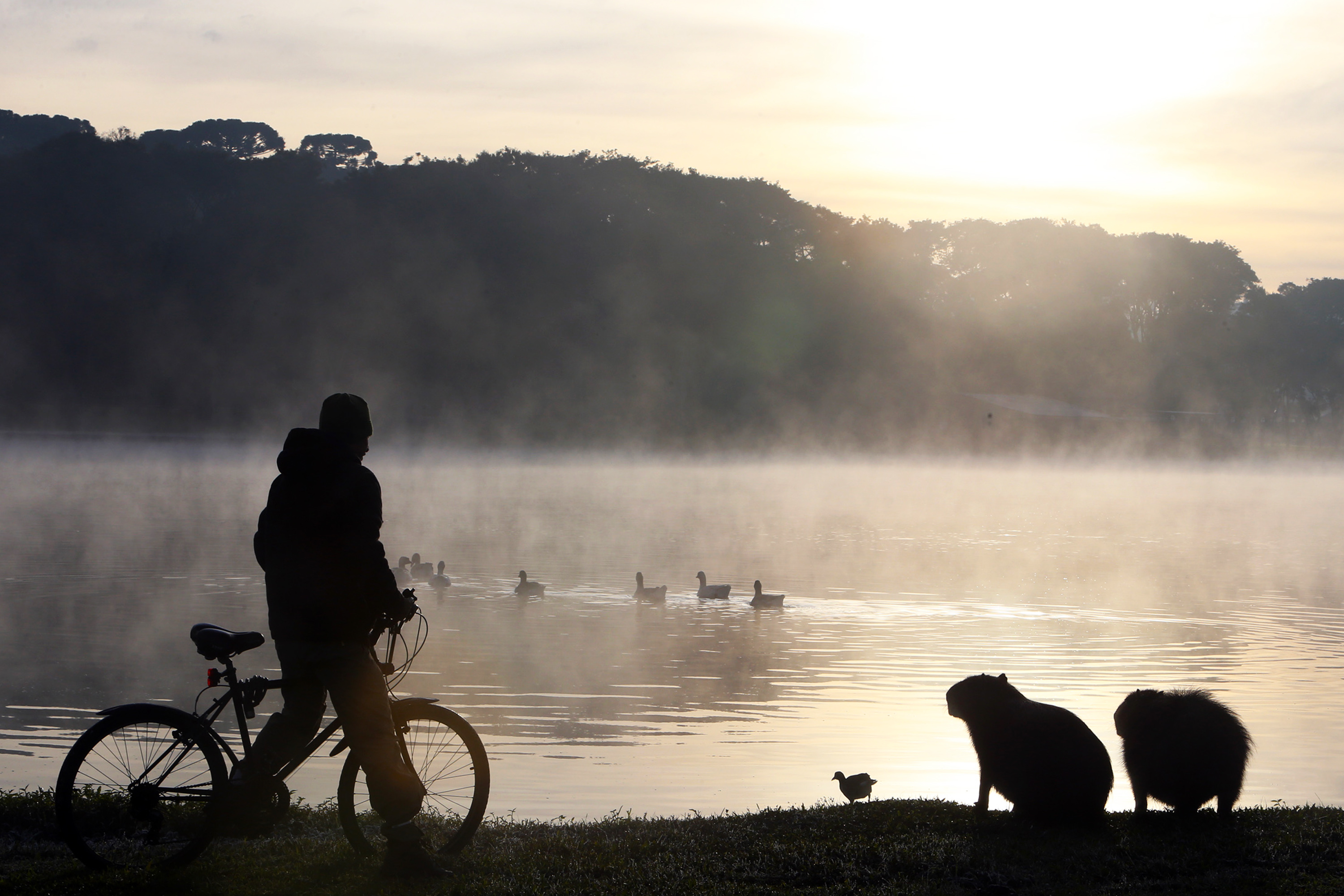 Imagem Após recordes de frio em todo o Paraná na quinta, termômetros vão cair ainda mais