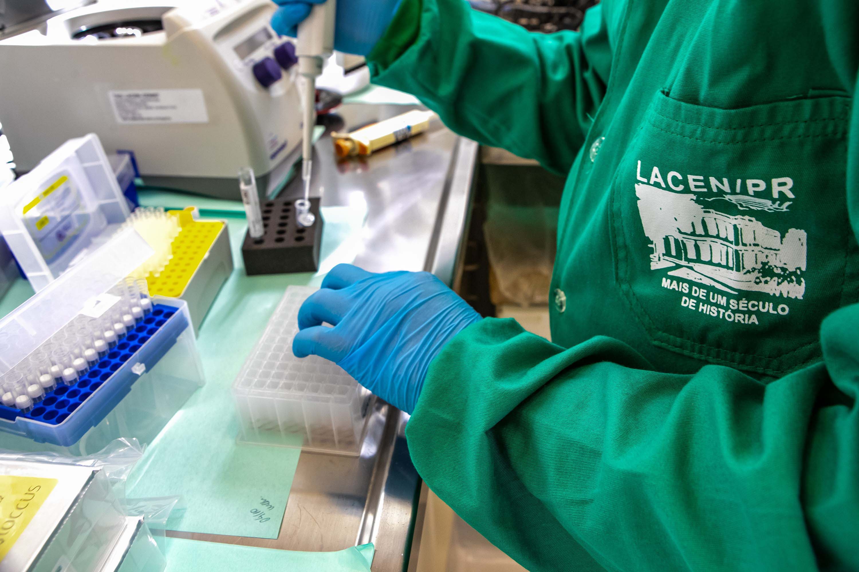 Imagem Aumento da presença de Influenza nos exames do Lacen reforça importância da vacina